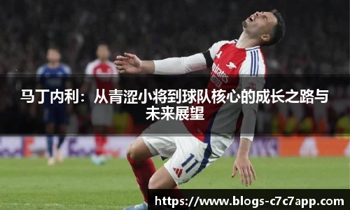 马丁内利：从青涩小将到球队核心的成长之路与未来展望